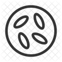 Microscopio Ícone