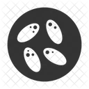 Pf Microscopio Ícone