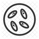 Pf Microscopio Ícone
