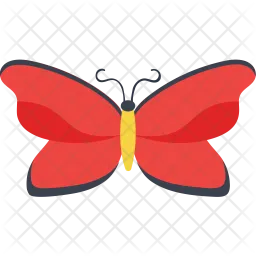 Malay Lacewing Butterfly  Icon