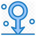 Male  Icon