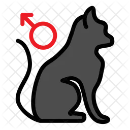 Male Cat  Icon