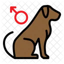 Dog Gender Pet Shop Icon