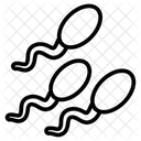 Male gamete  Icon