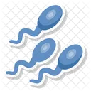 Male Gamete Reproductive Cell Genetic Material Icon