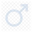 Male Gender  Icon