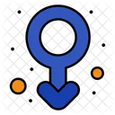 Male Gender  Icon