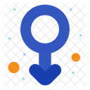 Male Gender  Icon