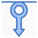 Male Gender Gender Sign Male Icon