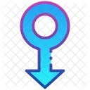 Male Icon