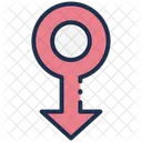 Male Icon