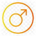 Male  Icon