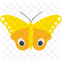 Moth Male Io Fly Icon