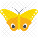 Moth Male Io Fly Icon