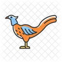 Male Pheasant Cock Icon