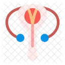 Male repoductive  Icon