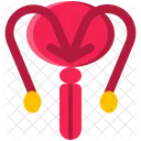 Male Reproductive Icon