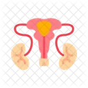 - male reproductive sys  Icon