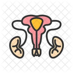 Male Reproductive Sys  Icon