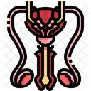 Male Reproductive System Male Reproductive Reproductive System Icône