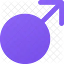Asset Icon