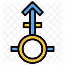Male Sign Gender Male Person Sign Icon