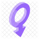 Male Gender Symbol 아이콘