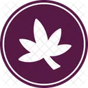 Hierba  Icon