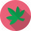 Hierba  Icon