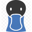 Mallard Duck  Icon