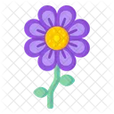 Mallow Flower  Icon