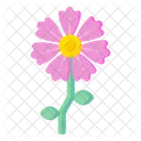 Mallow Flower  Icon