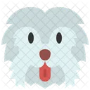 Maltese Dog Pet Icon