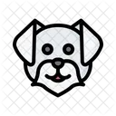 Maltese Dog Animal Icon