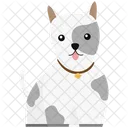 Maltese Dog Pet Icon