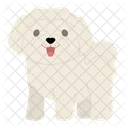 Maltese Dog Puppy Icon