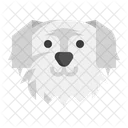 Maltese Dog  Icon