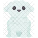 Maltese  Icon