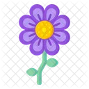 Malvenblüte  Symbol