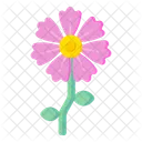 Malvenblüte  Symbol