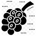 Mammary Gland Mammalia Breast Gland Icon
