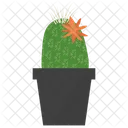 Mammillaria Potted Plant  Icon