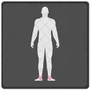 Legs Man Human Icon