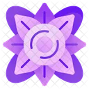 Mandala  Symbol
