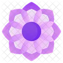 Mandala  Icon