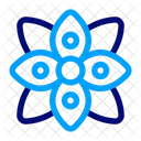 Mandala Decoration Ornament Icon