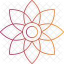 Fleur De Mandala Fleur Circulaire Fleur Sacree Icon