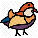 Mandarin Duck Symbol Of Love Pair Bonding Icon