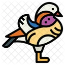 Mandarin Duck  Icon
