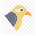 Mandarin  Icon